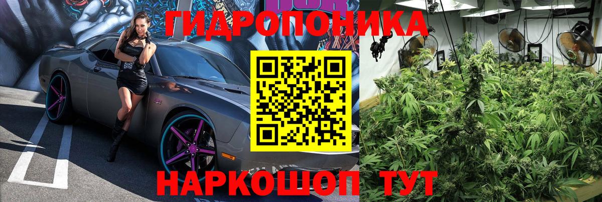 Конопля марихуана Киржач